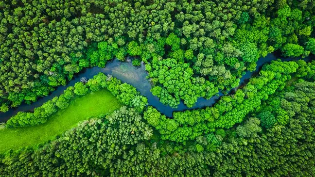 Luchtfoto van een boslandschap met een rivier als symbool voor duurzaamheid bij KiK