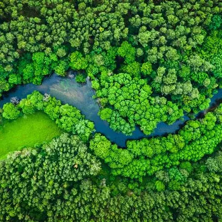 Luchtfoto van een boslandschap met een rivier als symbool voor duurzaamheid bij KiK