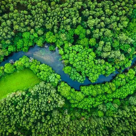 Luchtfoto van een boslandschap met een rivier als symbool voor duurzaamheid bij KiK